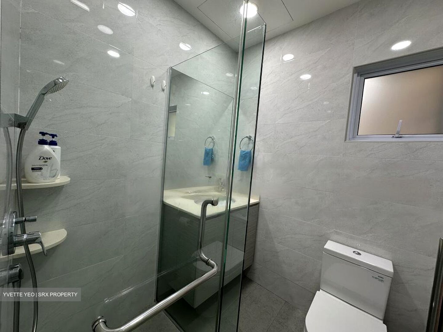 Nineteen Shelford Road (D11), Condominium #468417251